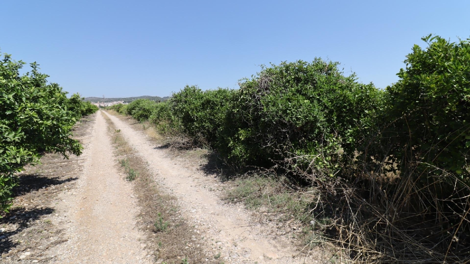  for sale house Alcanar Montsià 5
