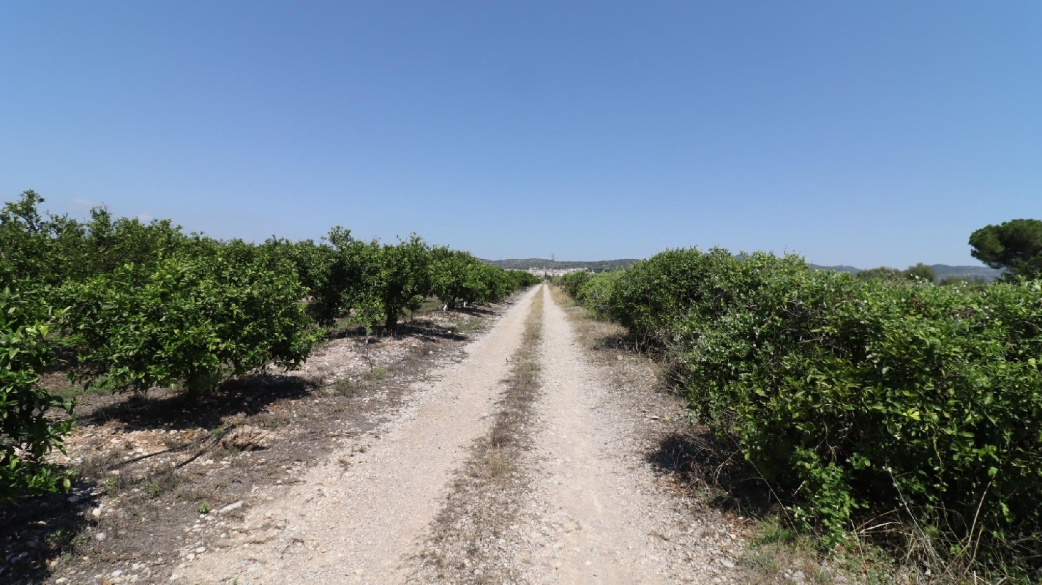  for sale house Alcanar Montsià 8