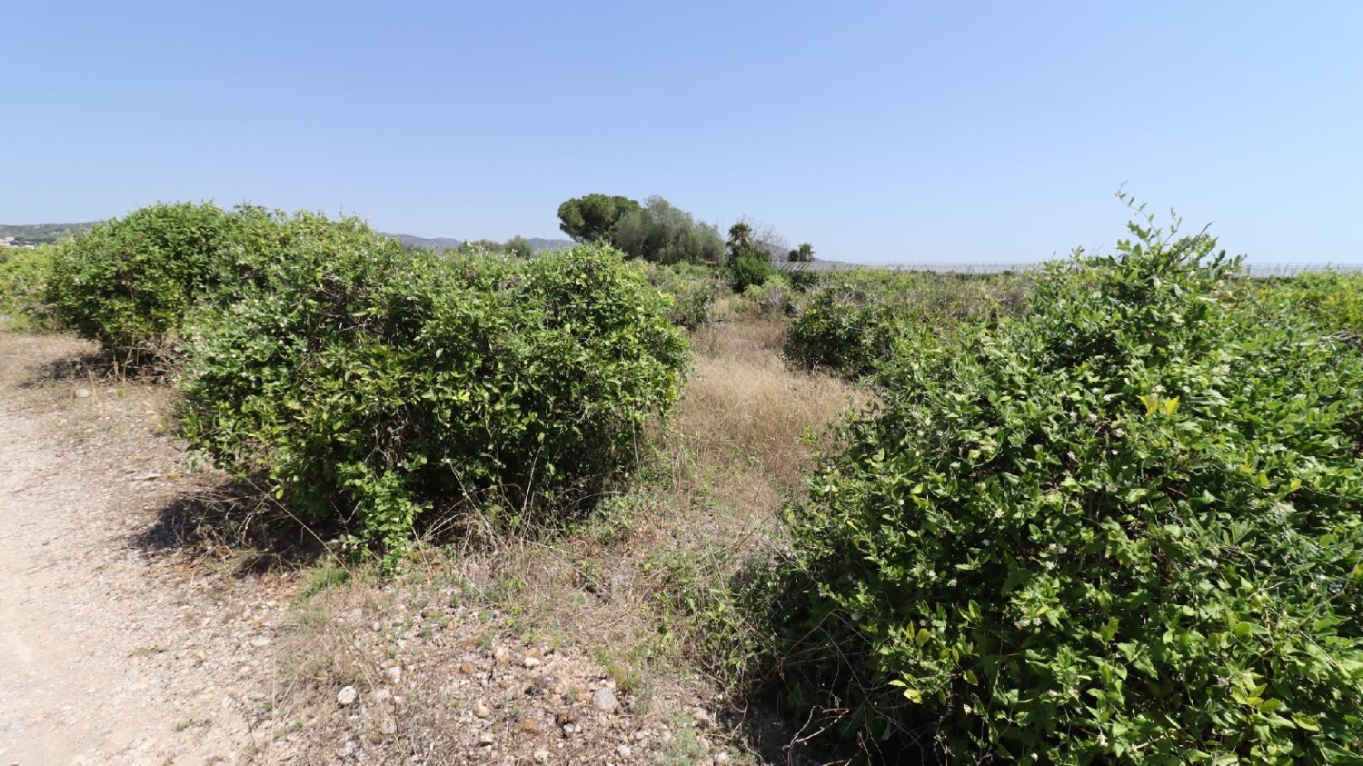  for sale house Alcanar Montsià 6