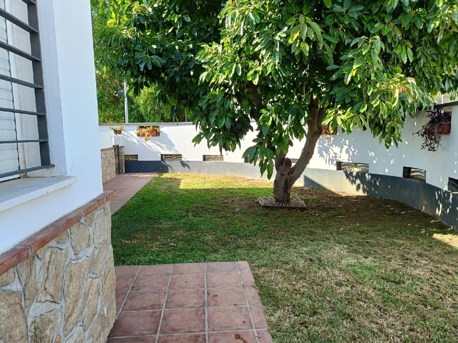  à vendre maison Algeciras Casco Antiguo Campo De Gibraltar 5