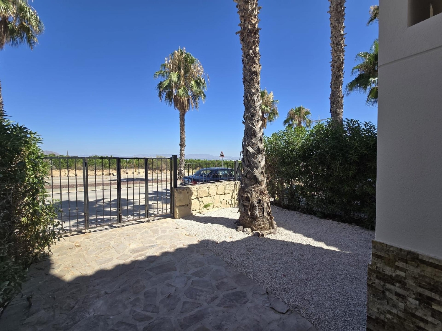  à vendre maison Algorfa Baix Segura 4