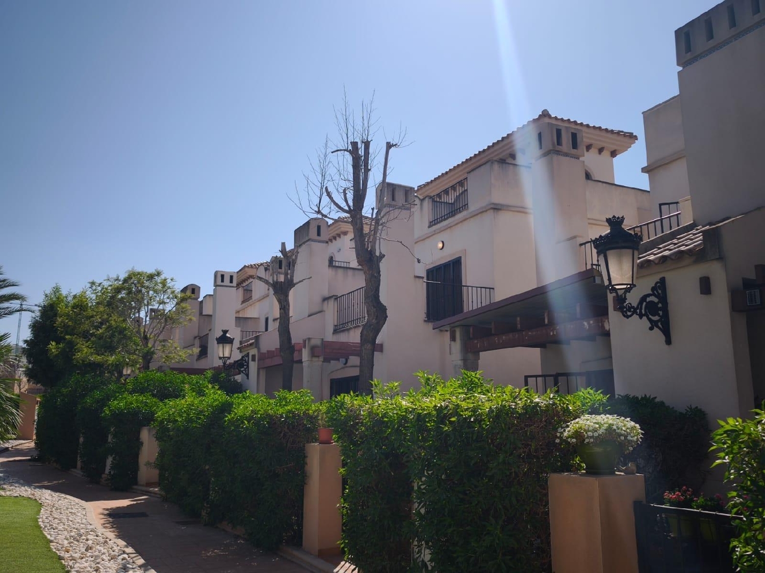  à vendre maison Algorfa Baix Segura 2
