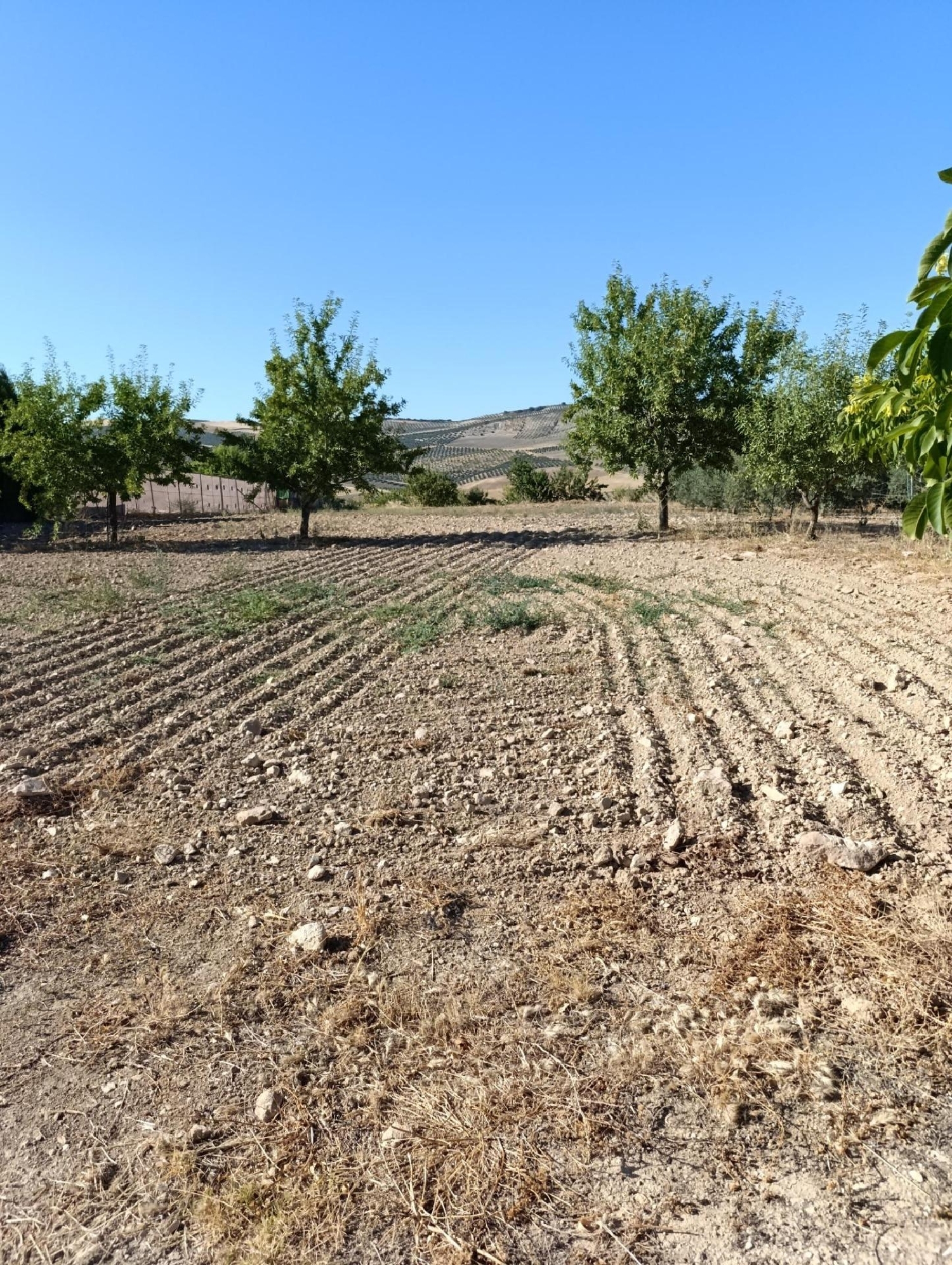 kaufen Haus Alhama De Granada Alhama 3