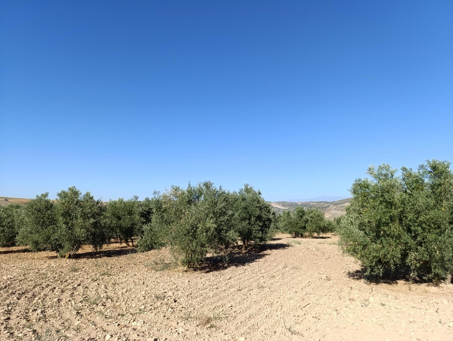  kaufen Haus Alhama De Granada Alhama 5