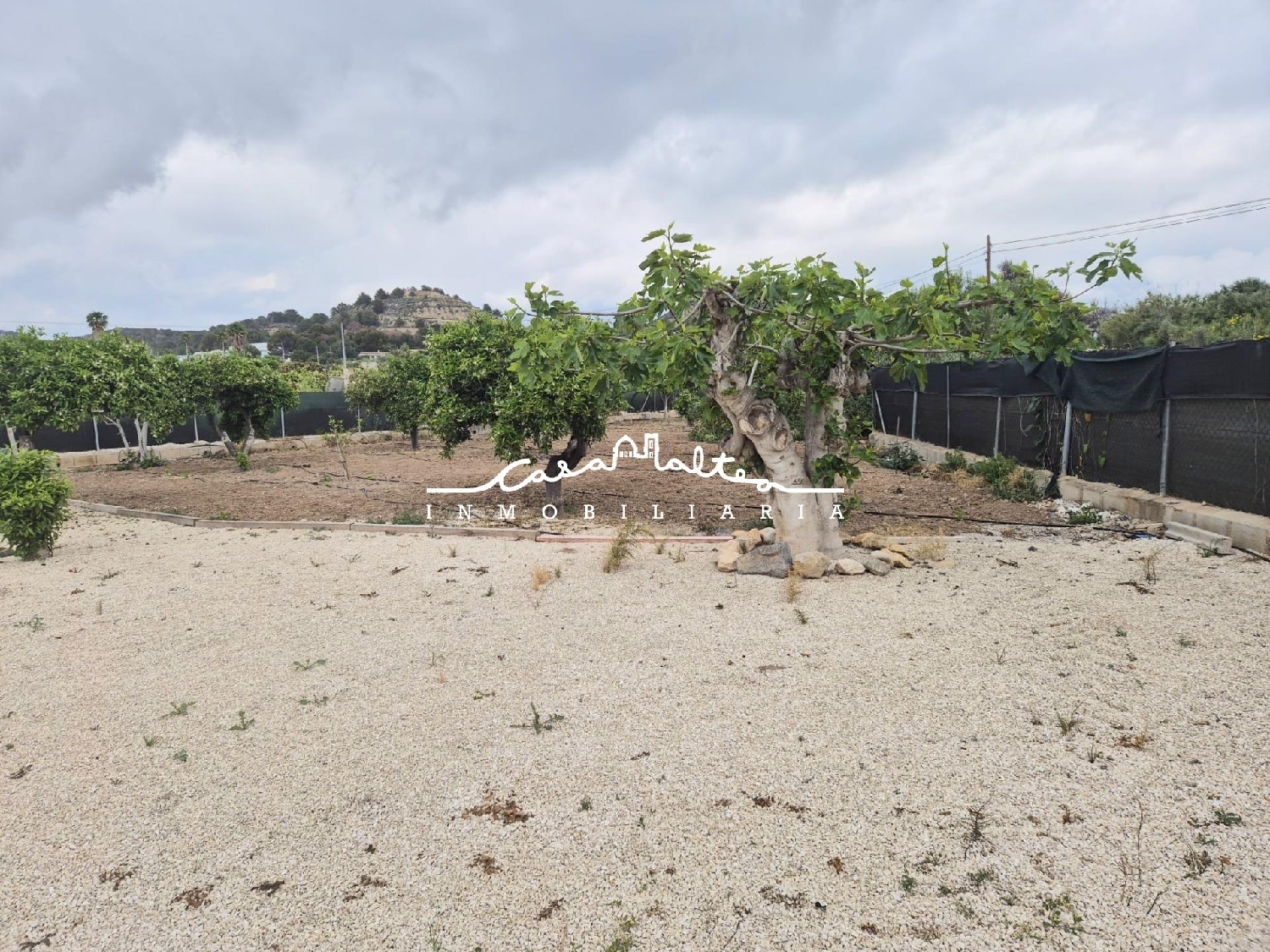  à vendre maison Altea Marina Baixa 6