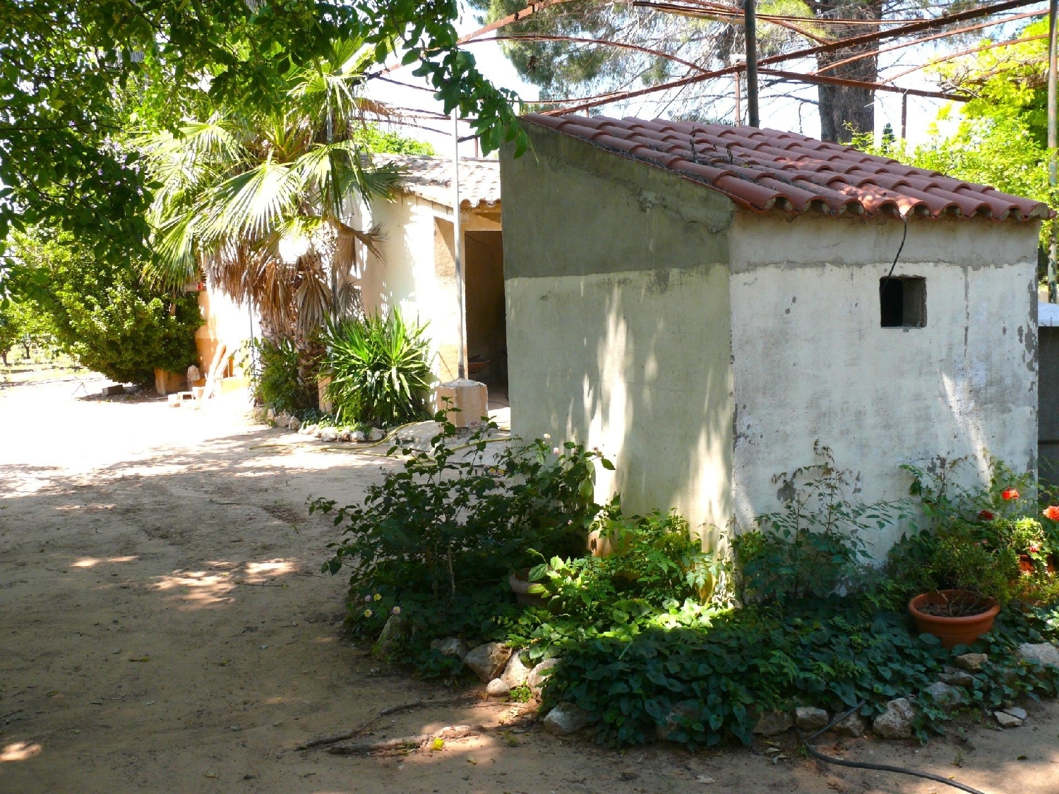  till salu hus Alzira Ribera Alta 5