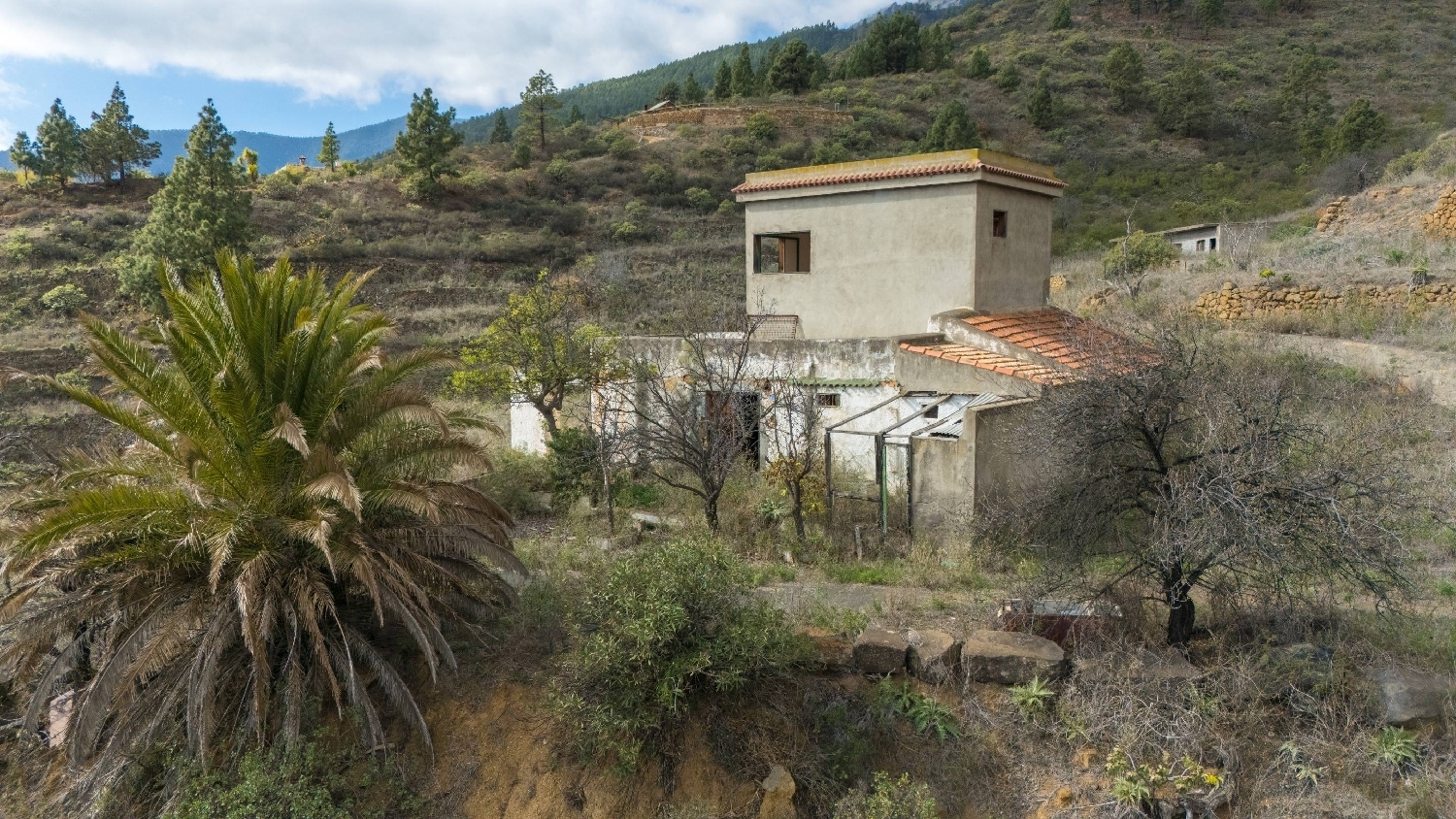 kaufen Haus Arafo Zona Sureste 3