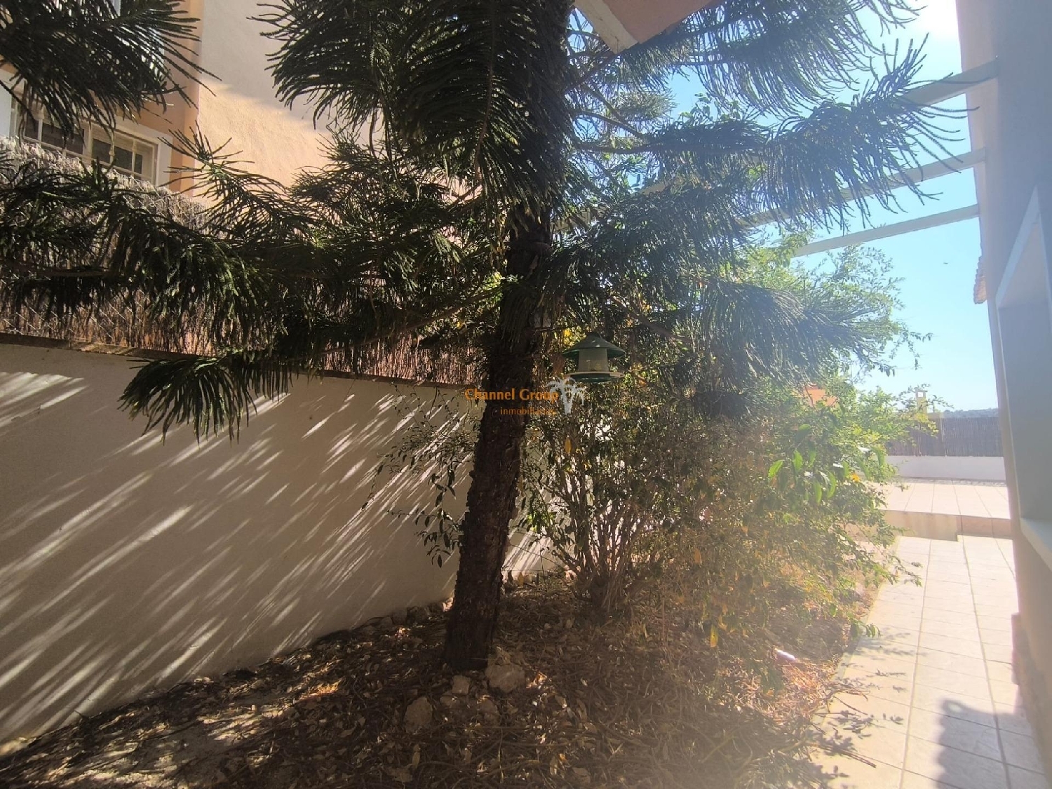 en venta casa Aspe Vinalopó Mitjà 2