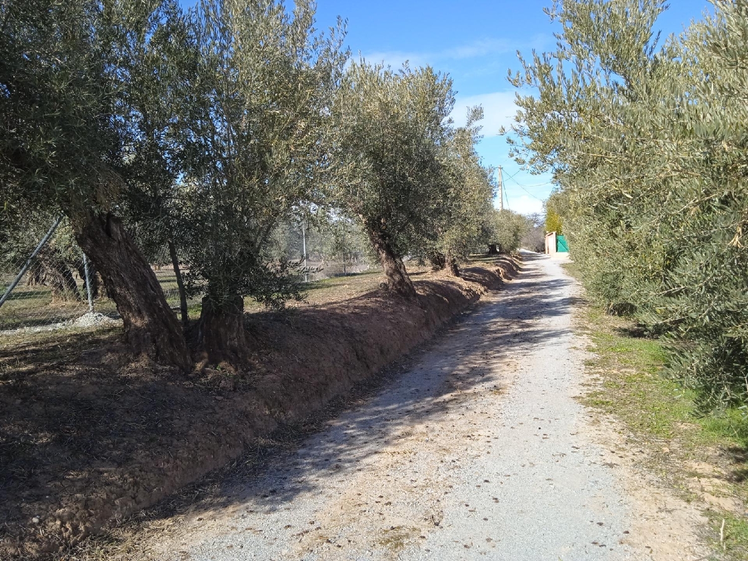  for sale house Baza Baza 2