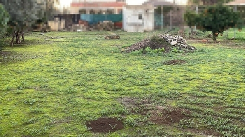 Villafranca De Córdoba Alto Guadalquivir hus foto 6266938