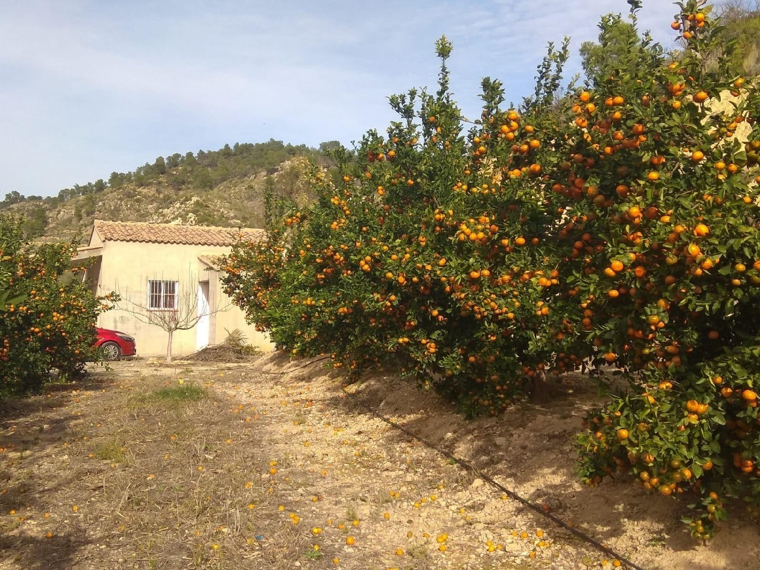 till salu hus Bugarra Serranos (Los) 2