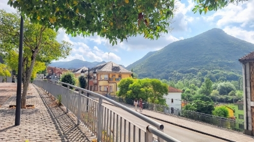 Bustiello De La Cabuerna Narcea house foto 6267132