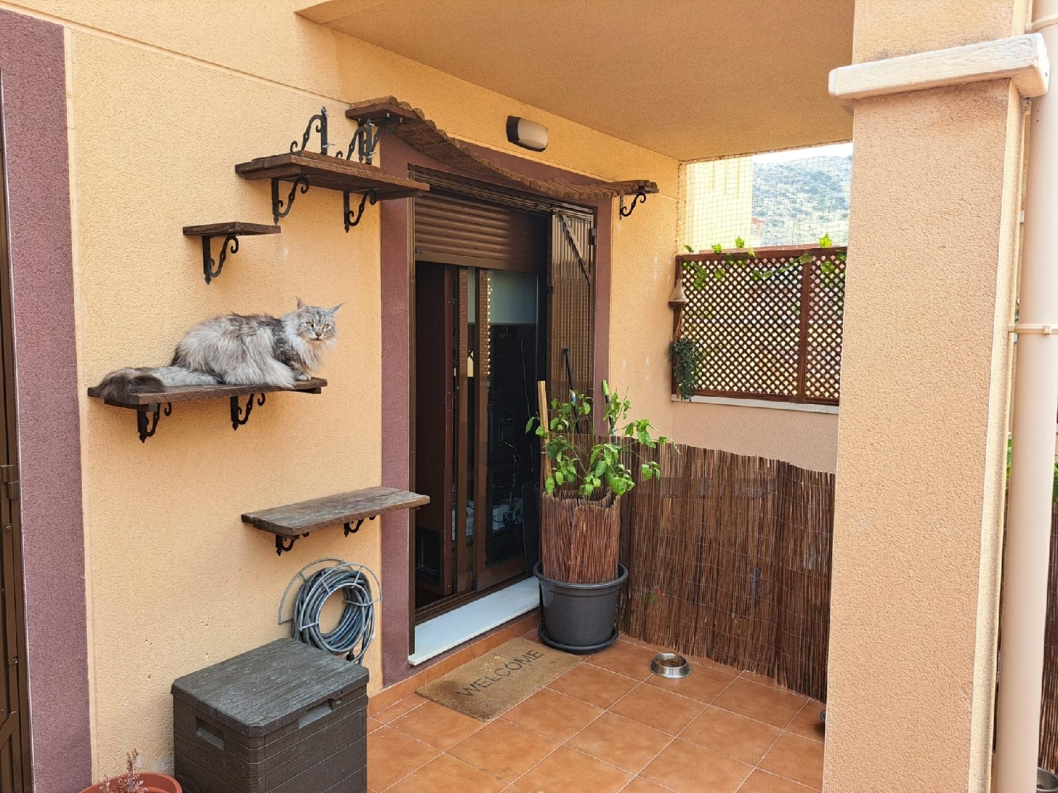  till salu hus Calabardina Alto Guadalentín 6
