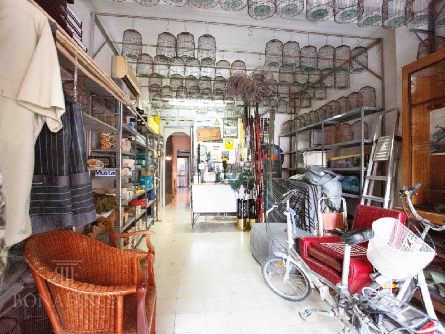  kaufen Haus Campos Sud 5