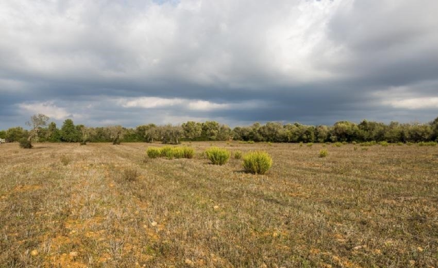  à vendre maison Campos Arzúa 1