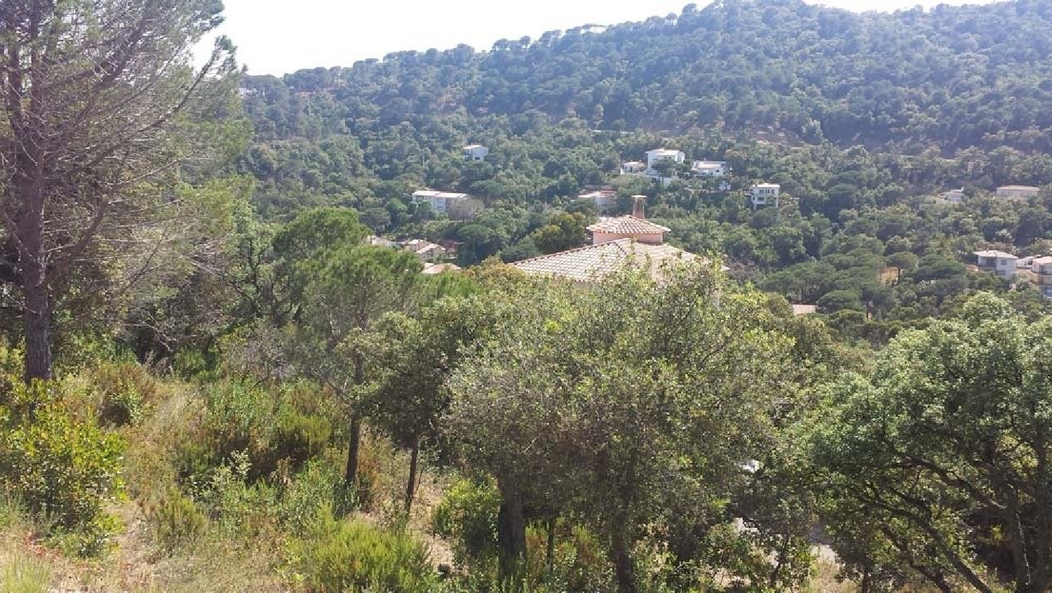  till salu hus Camps De Santa Maria Baix Empordà 5