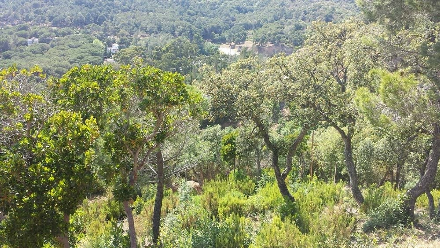 till salu hus Camps De Santa Maria Baix Empordà 6