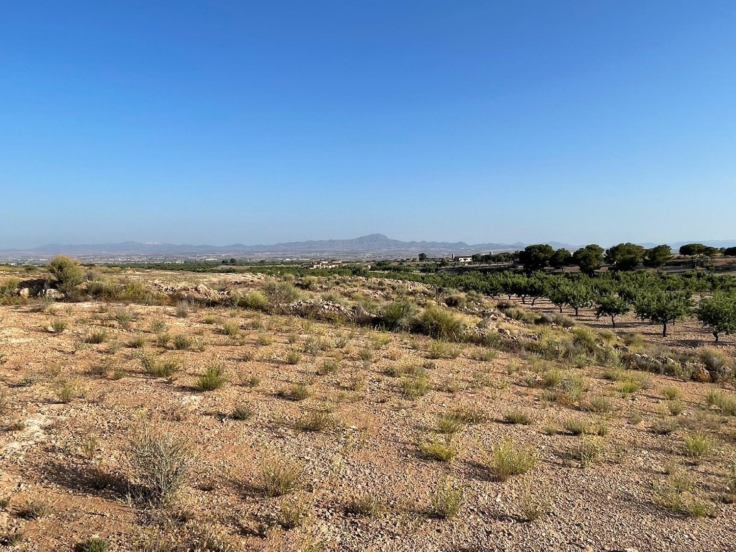  en venta casa Cánovas Campo De Cartagena 5