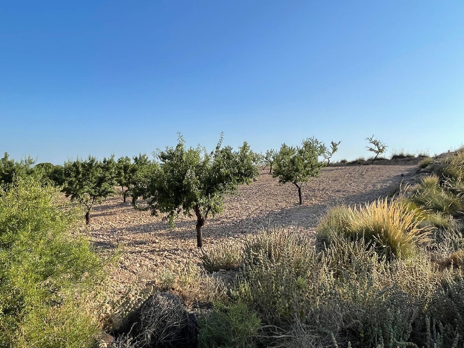  en venta casa Cánovas Campo De Cartagena 2