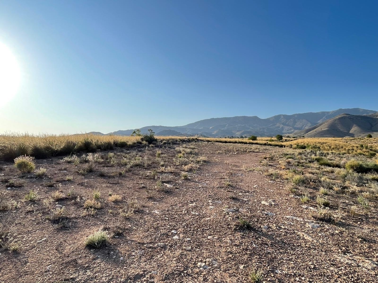  en venta casa Cánovas Campo De Cartagena 4