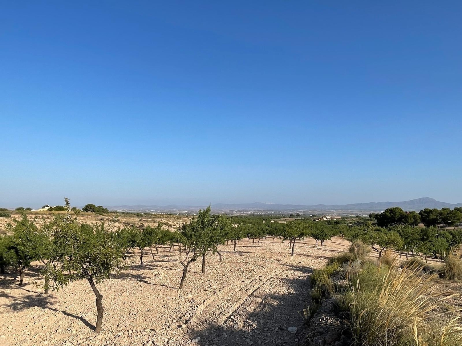  en venta casa Cánovas Campo De Cartagena 3
