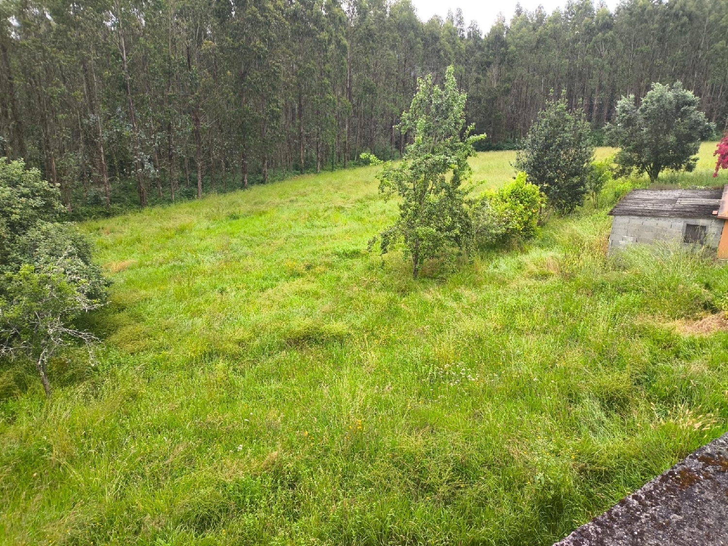  for sale house Carantoña Betanzos 5