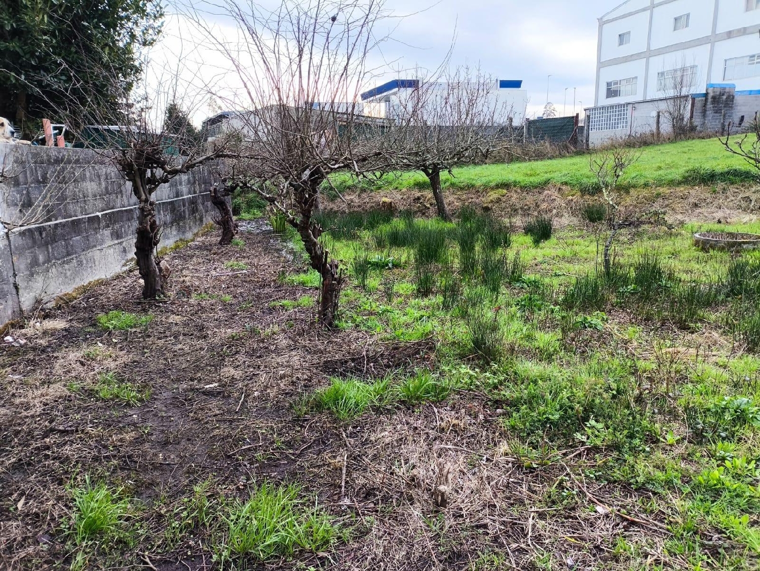  à vendre maison Carballo Arzúa 8