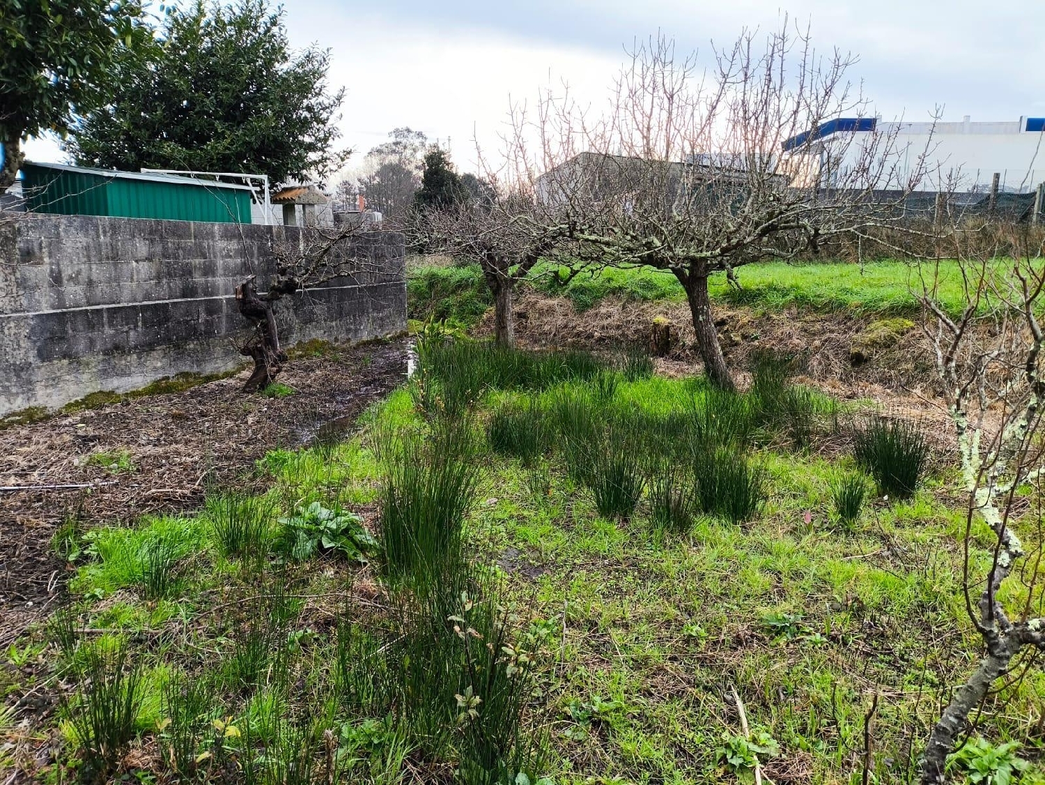  à vendre maison Carballo Arzúa 7