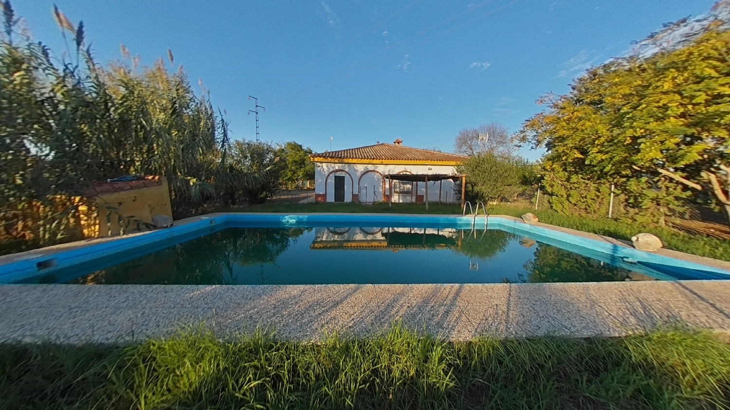  à vendre maison Carmona Campiña De Carmona 1