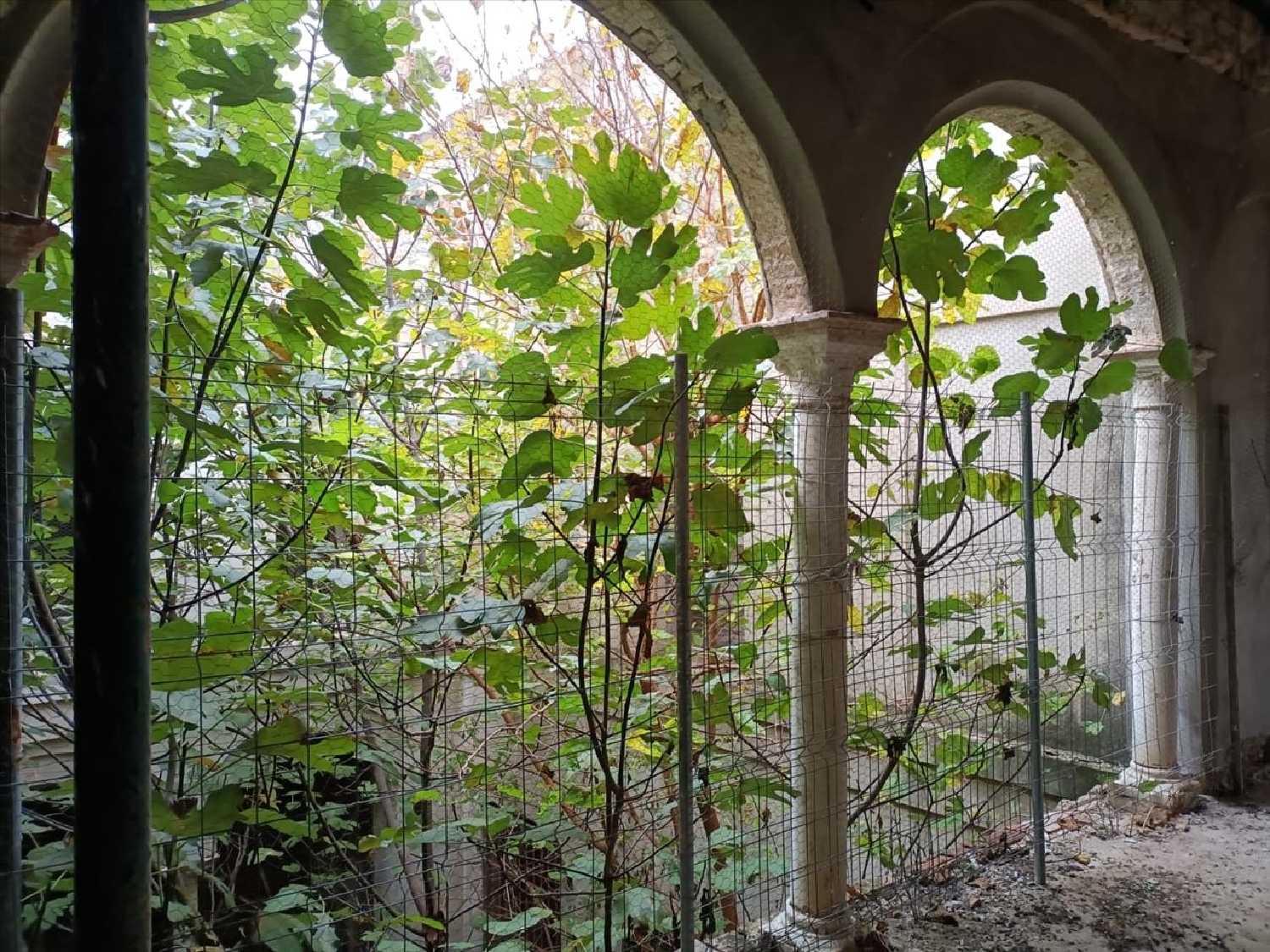  à vendre maison Carmona Campiña De Carmona 7