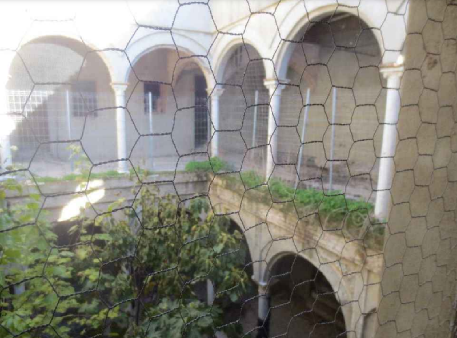  à vendre maison Carmona Campiña De Carmona 5