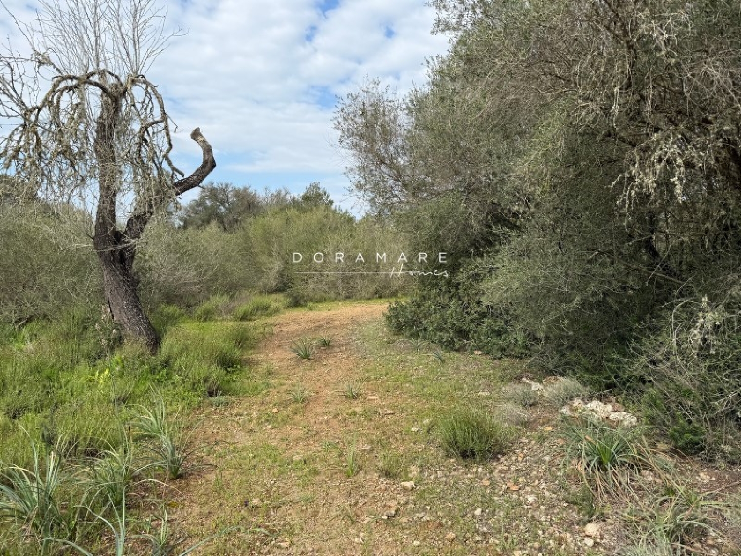  te koop huis Ca's Canar Pla (Es) 4