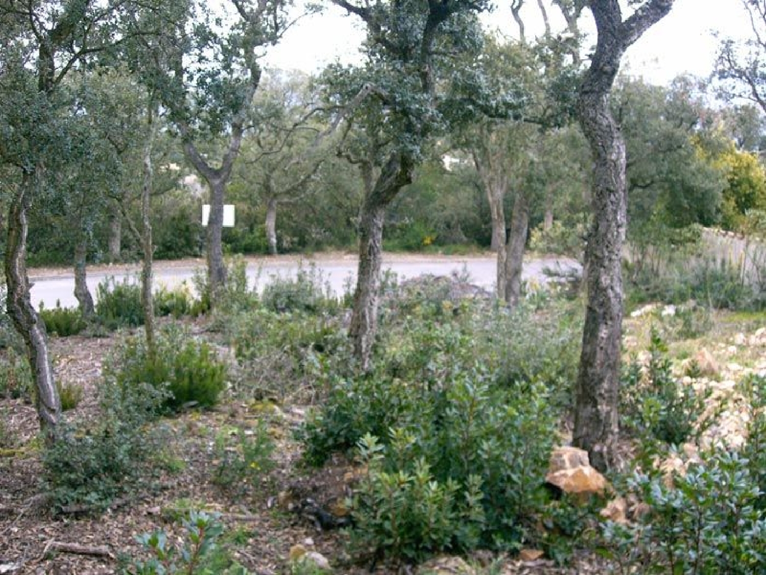  till salu hus Castell D'aro Baix Empordà 1