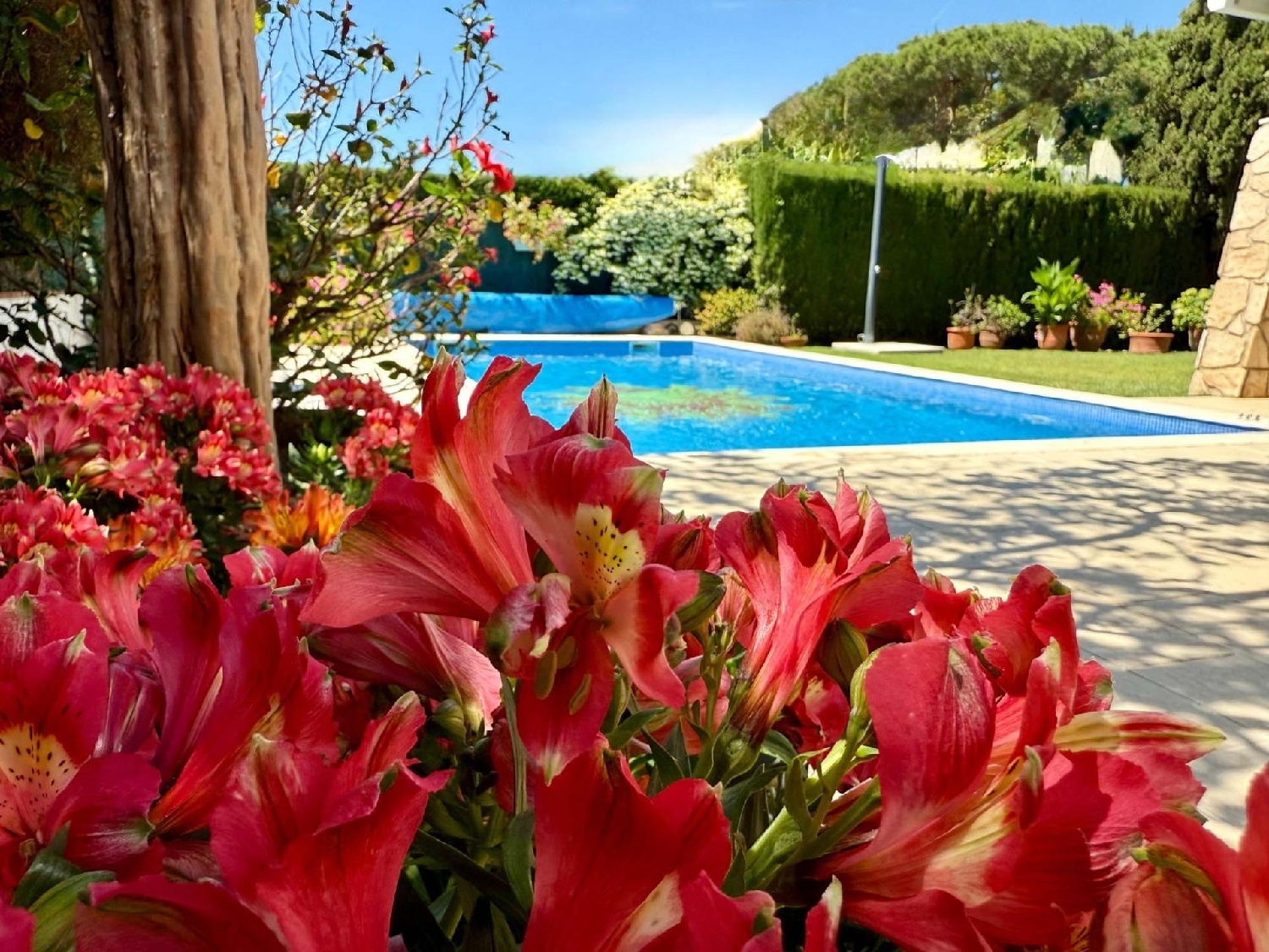  till salu hus Castell-Platja D'aro Baix Empordà 6