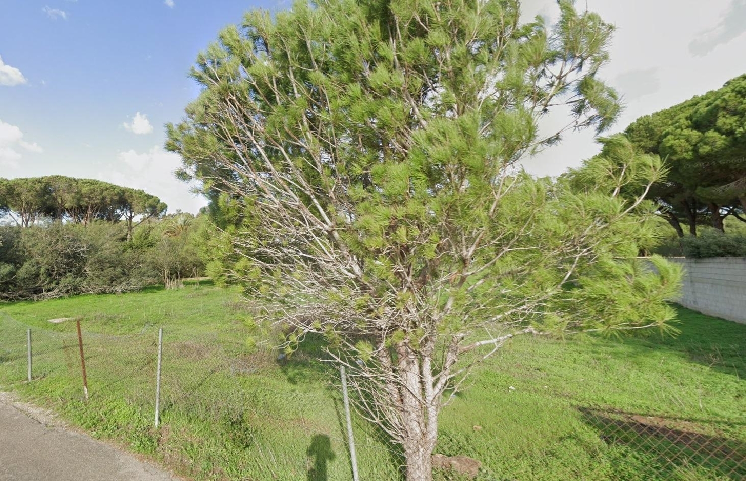 te koop huis Chiclana De La Frontera Bahía De Cádiz 3
