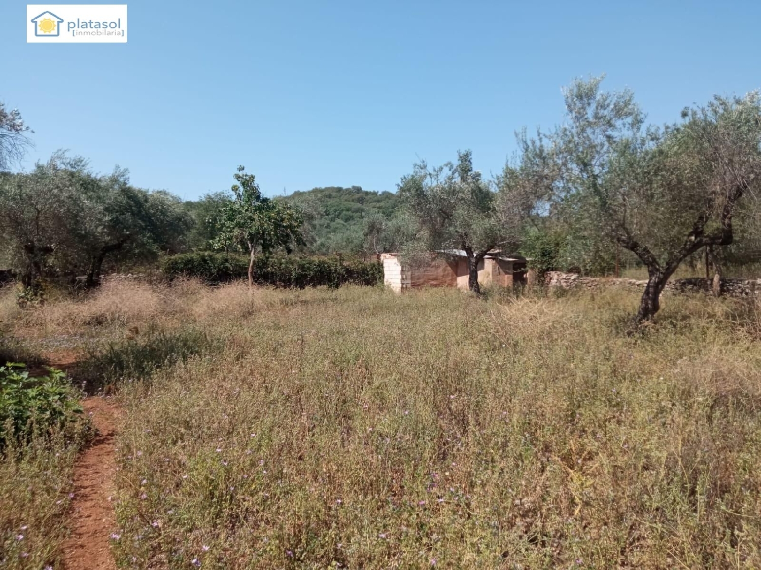  kaufen Haus Corteconcepción Sierra De Huelva 8