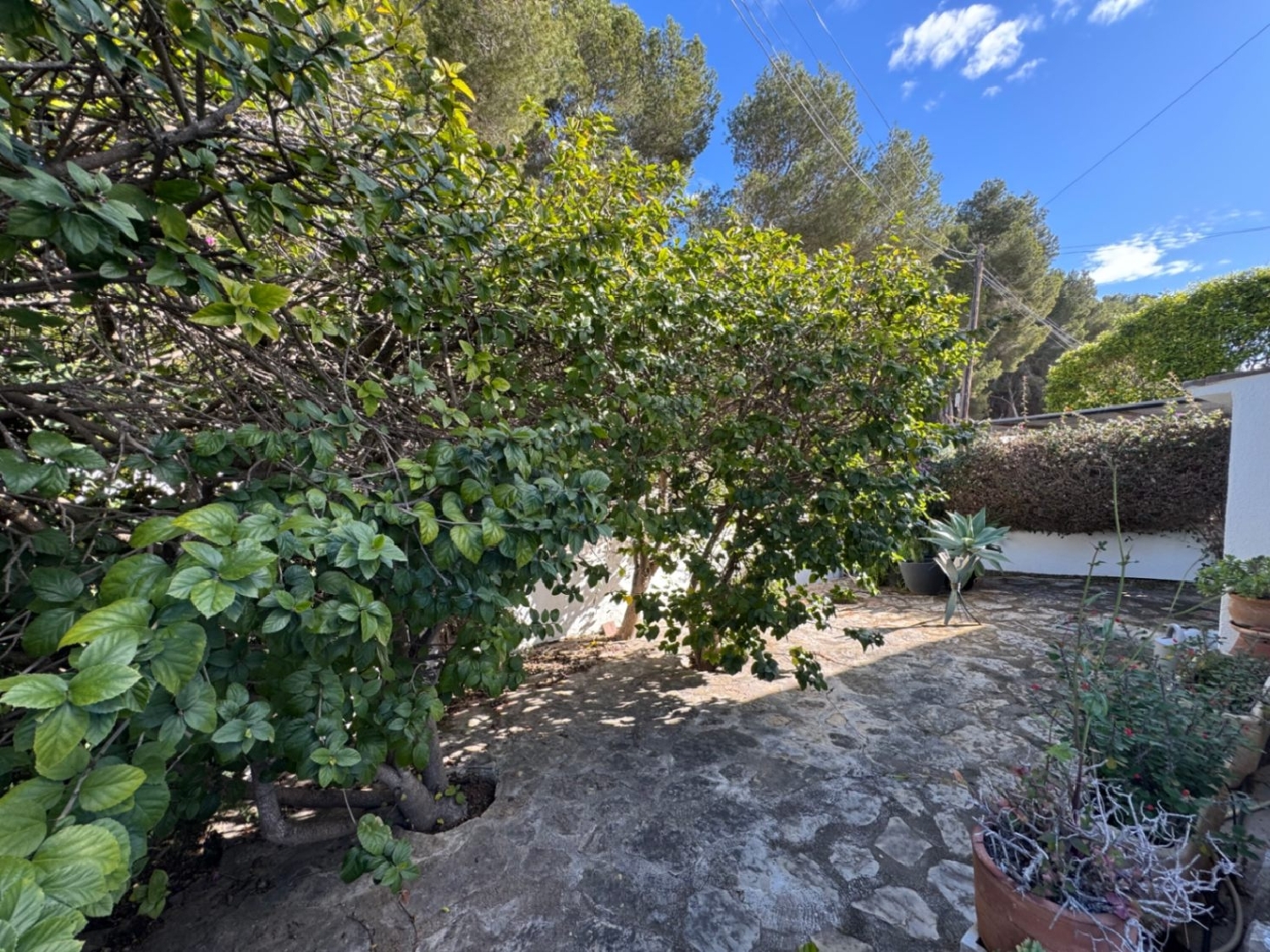  till salu hus Cometa Marina Alta 23