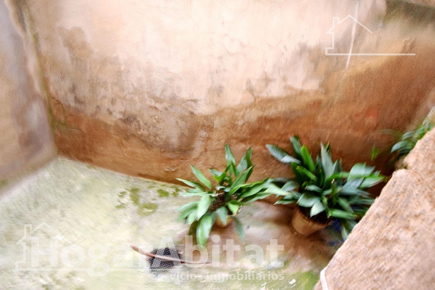  à vendre maison Cuartico Plana Alta 8
