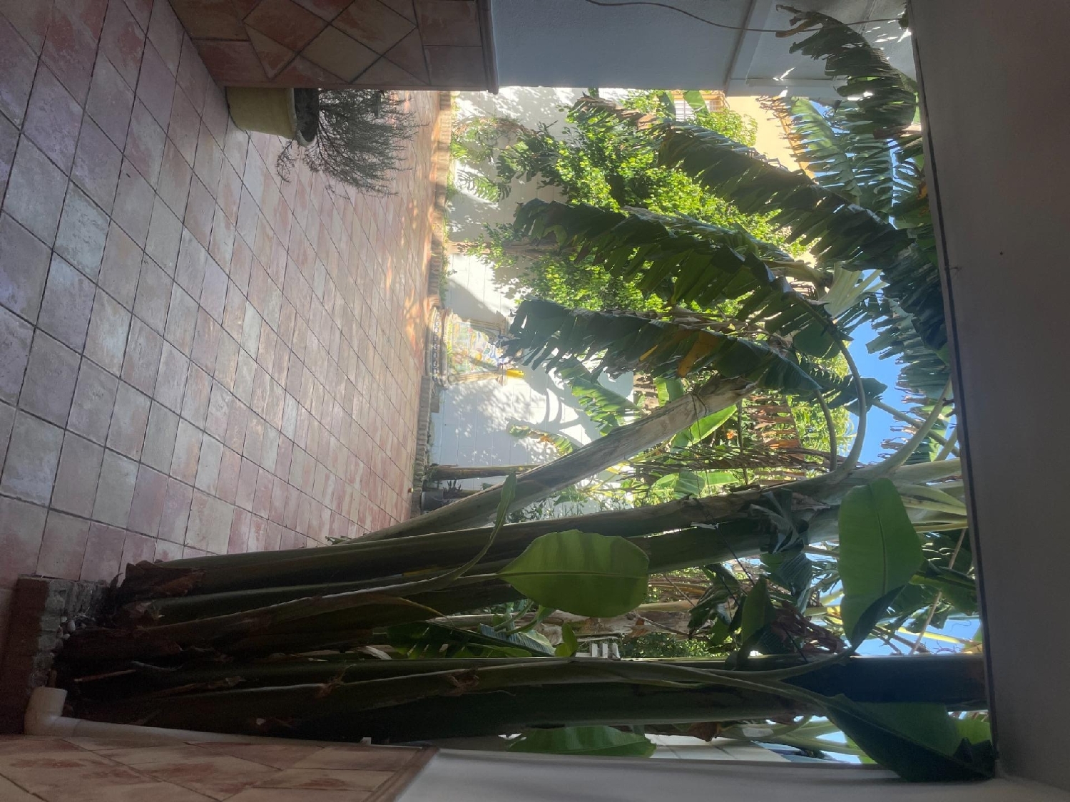  te koop huis Dos Hermanas Málaga-Costa Del Sol 5