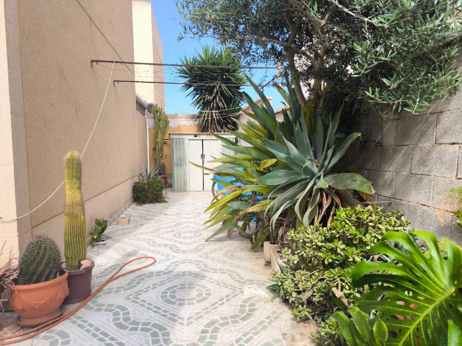  till salu hus El Chaparral Baix Segura 3