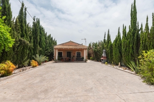 El Pino Vega Media Del Segura casa foto 6269082