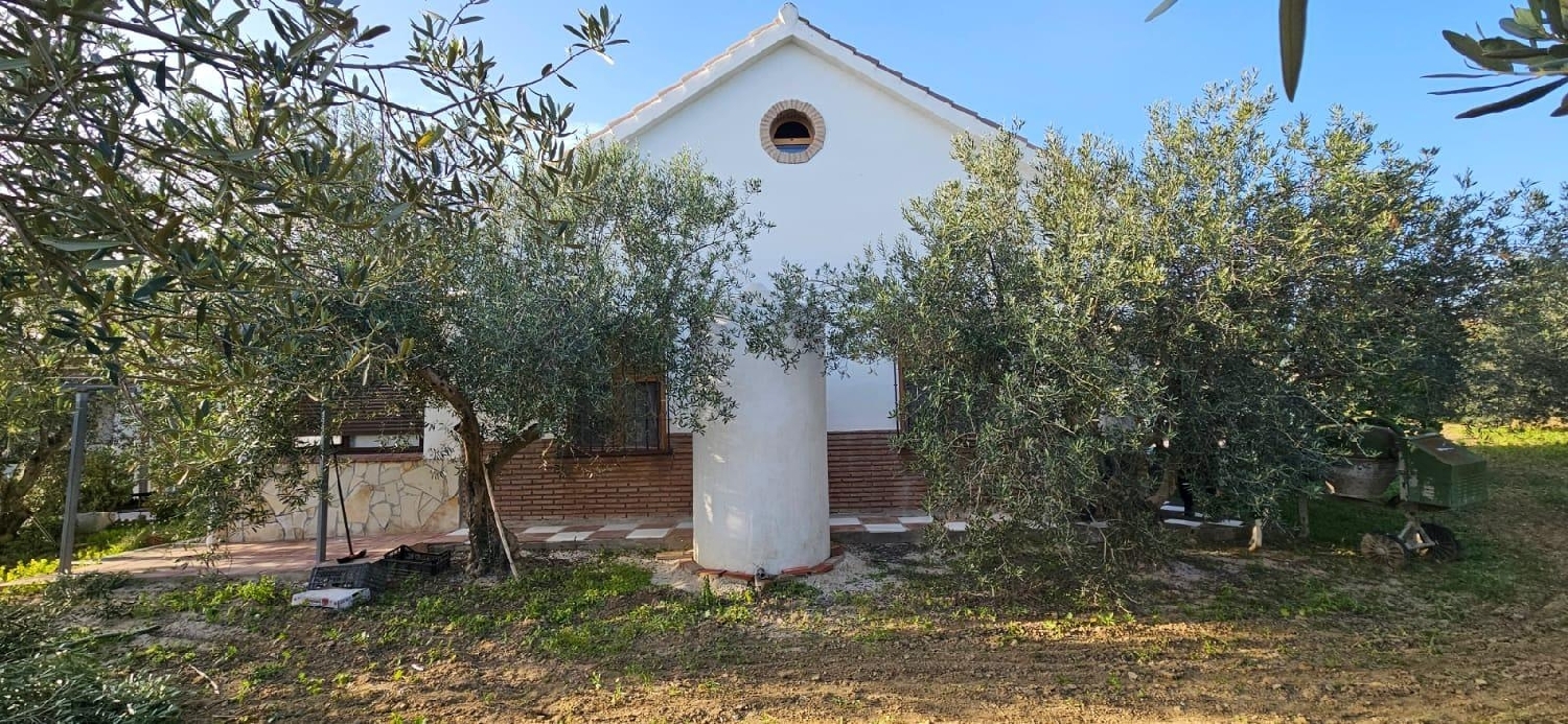  till salu hus El Rodeo Valle Del Guadalhorce 6