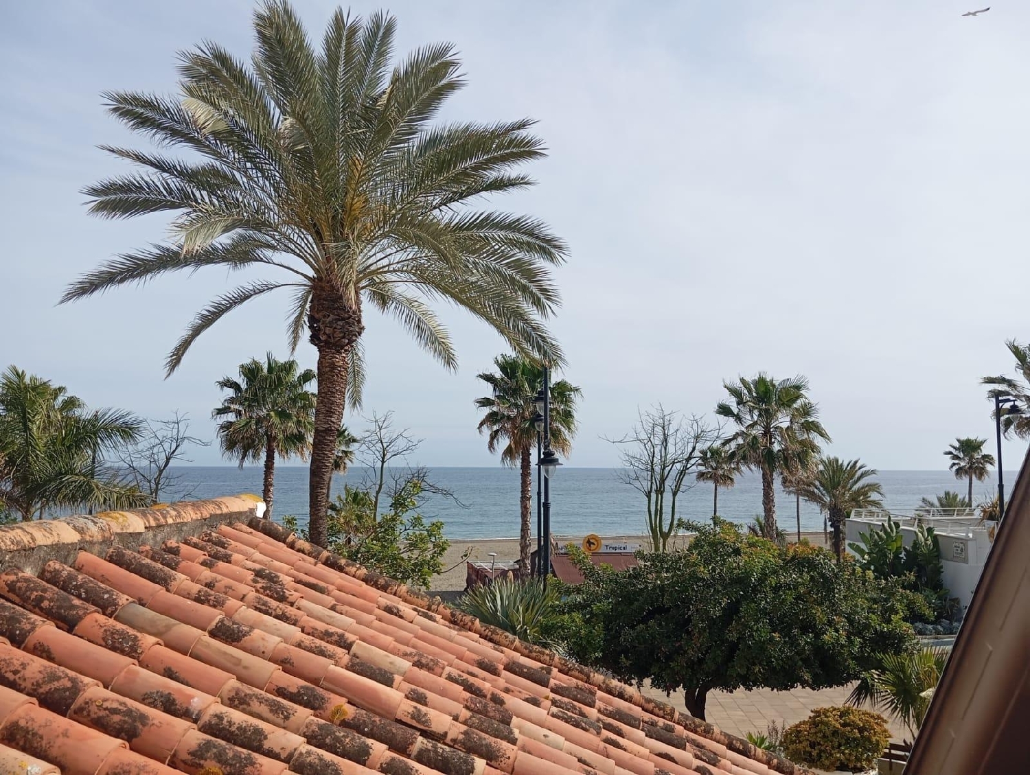  en venta casa Estepona Costa Del Sol Occidental 1