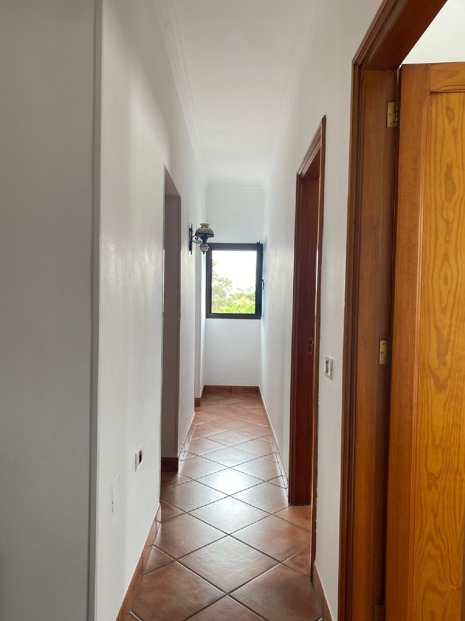  for sale house Firgas Área Norte 4
