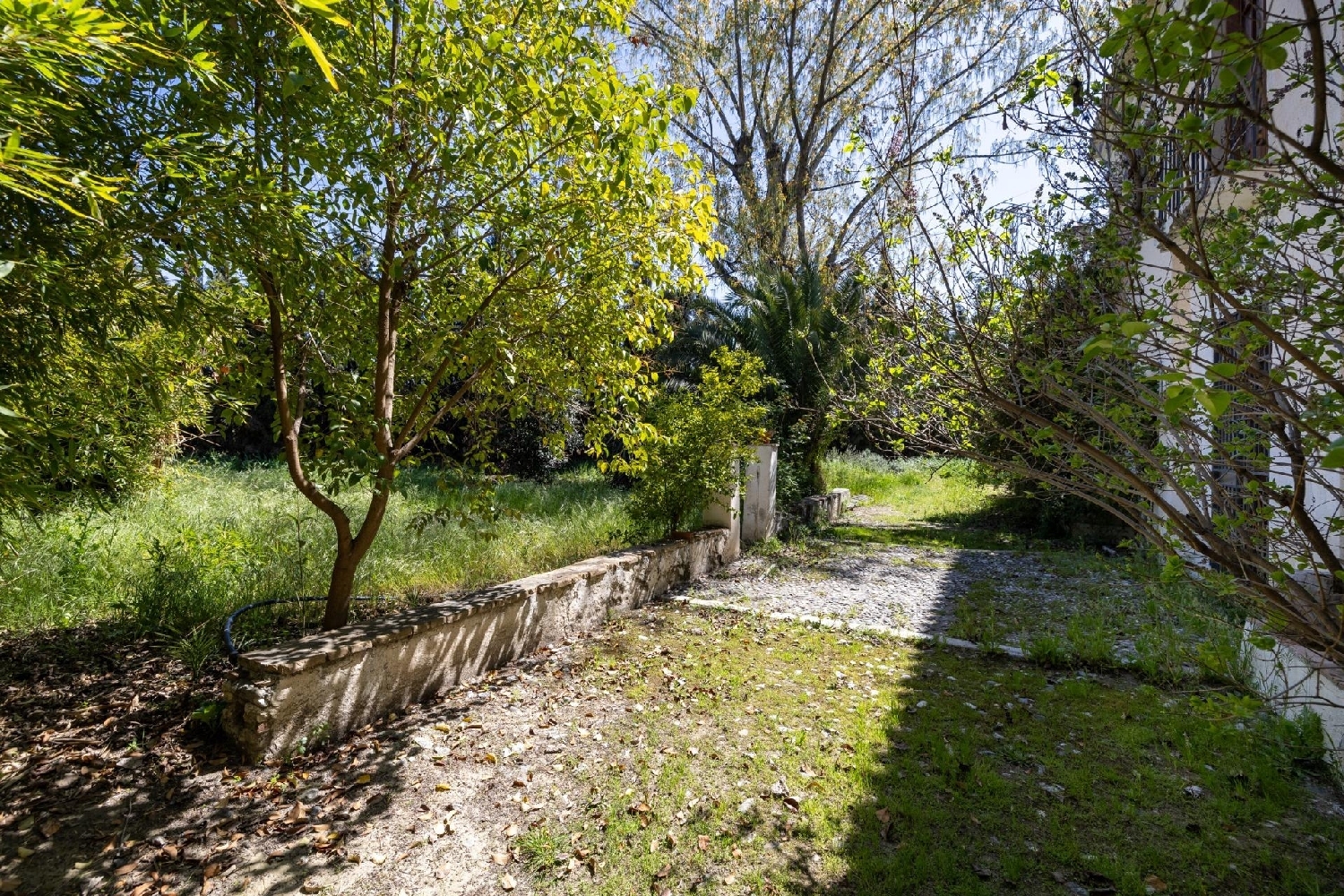  à vendre maison Granada Vega De Granada 6