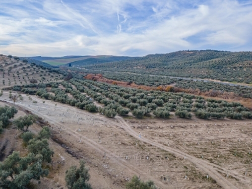 Güevéjar Vega De Granada Haus Bild 6280421