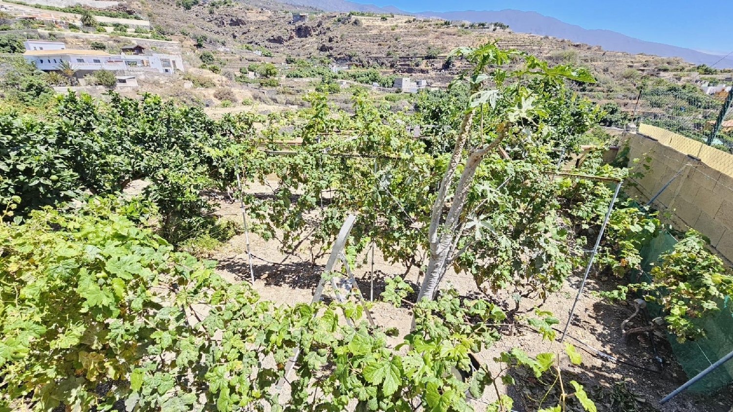  à vendre maison Guimarans, Guimaráns Barcala 7