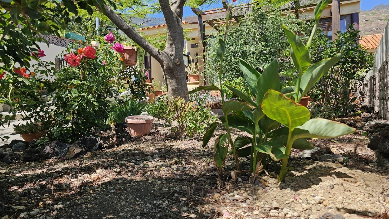  à vendre maison Guimarans, Guimaráns Barcala 4