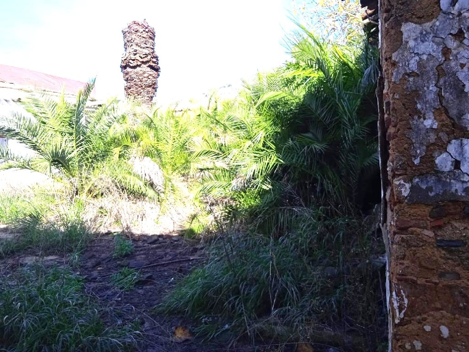  te koop huis Higuera De La Sierra Sierra De Huelva 8