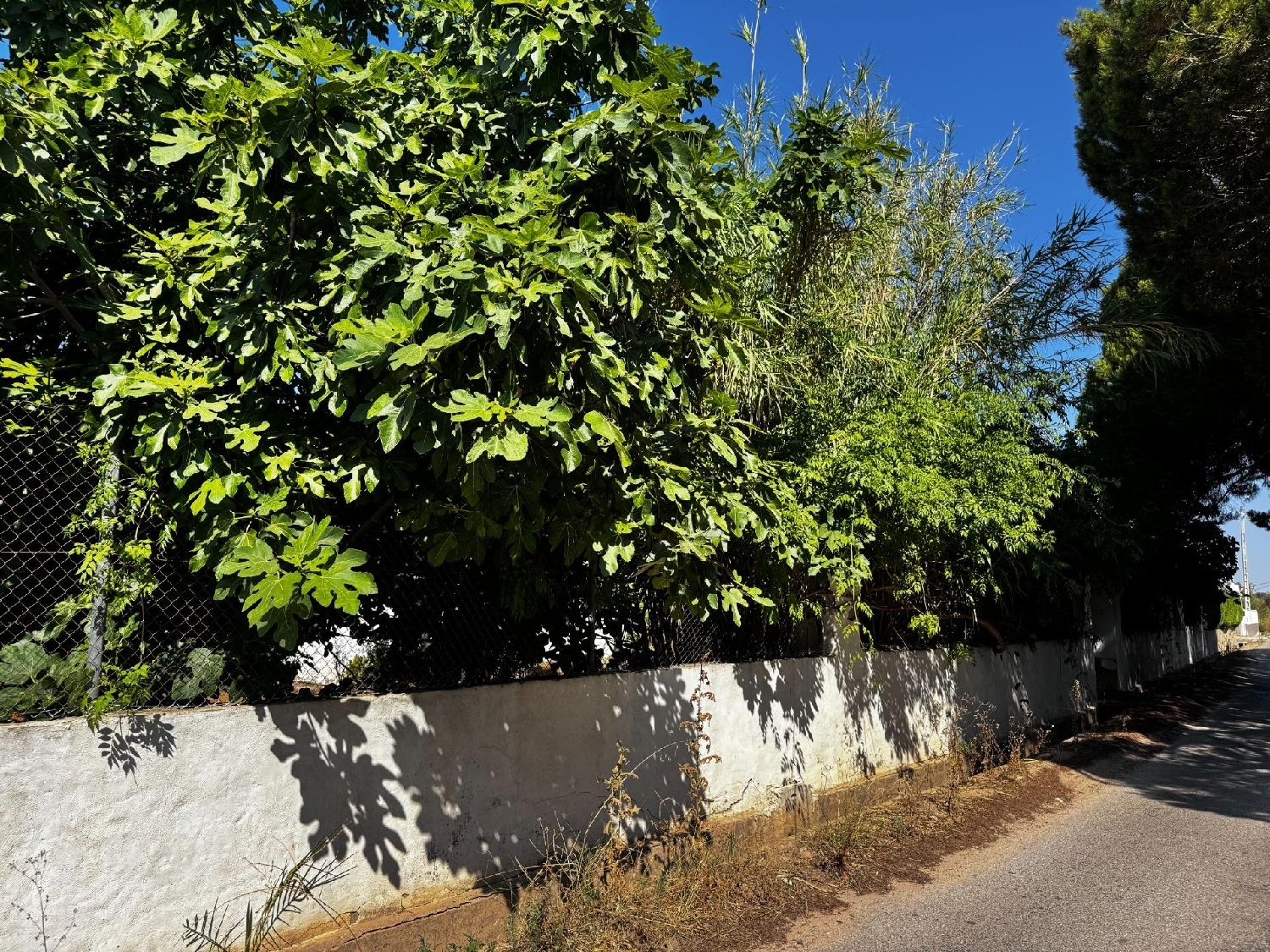 à vendre maison Jardin De Jaravilla Camp De Túria 2
